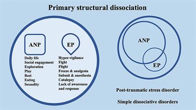 The integrative process promoted by EMDR in dissociative disorders: neurobiological mechanisms, psychometric tools, and intervention efficacy on the psychological impact of the COVID-19 pandemic